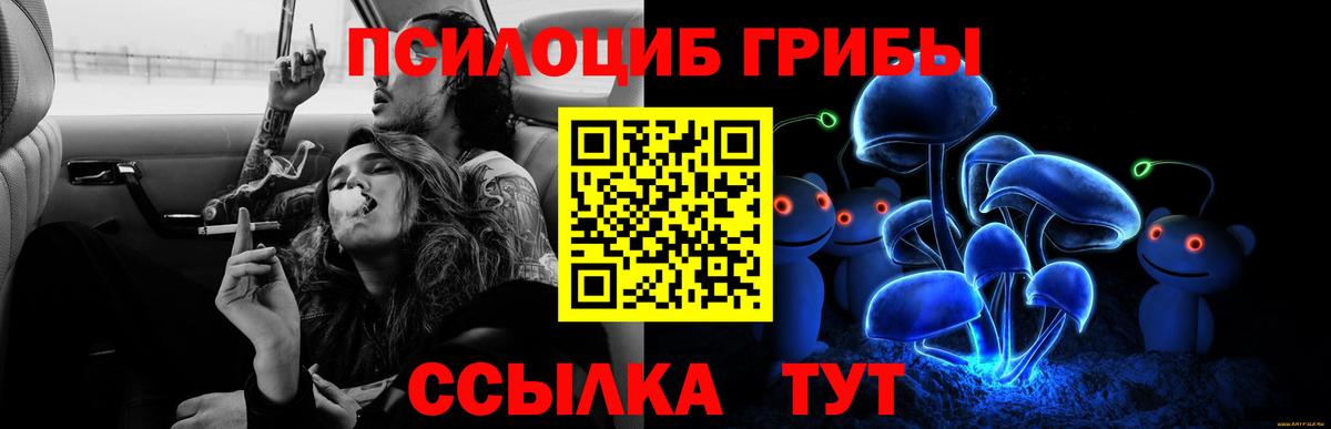 Псилоцибиновые грибы Magic Shrooms Карачаевск
